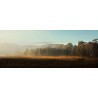 Sunrise Wollombi