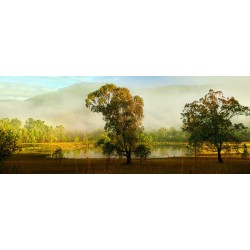 Waterways Wollombi