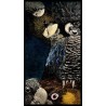 Five Black Cockatoos