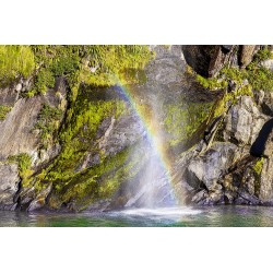 Milford Rainbow