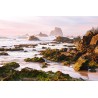 Narooma Rockmist