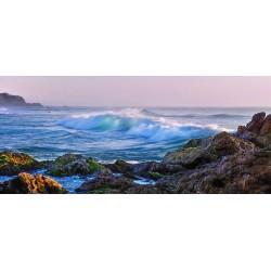 Narooma Waves